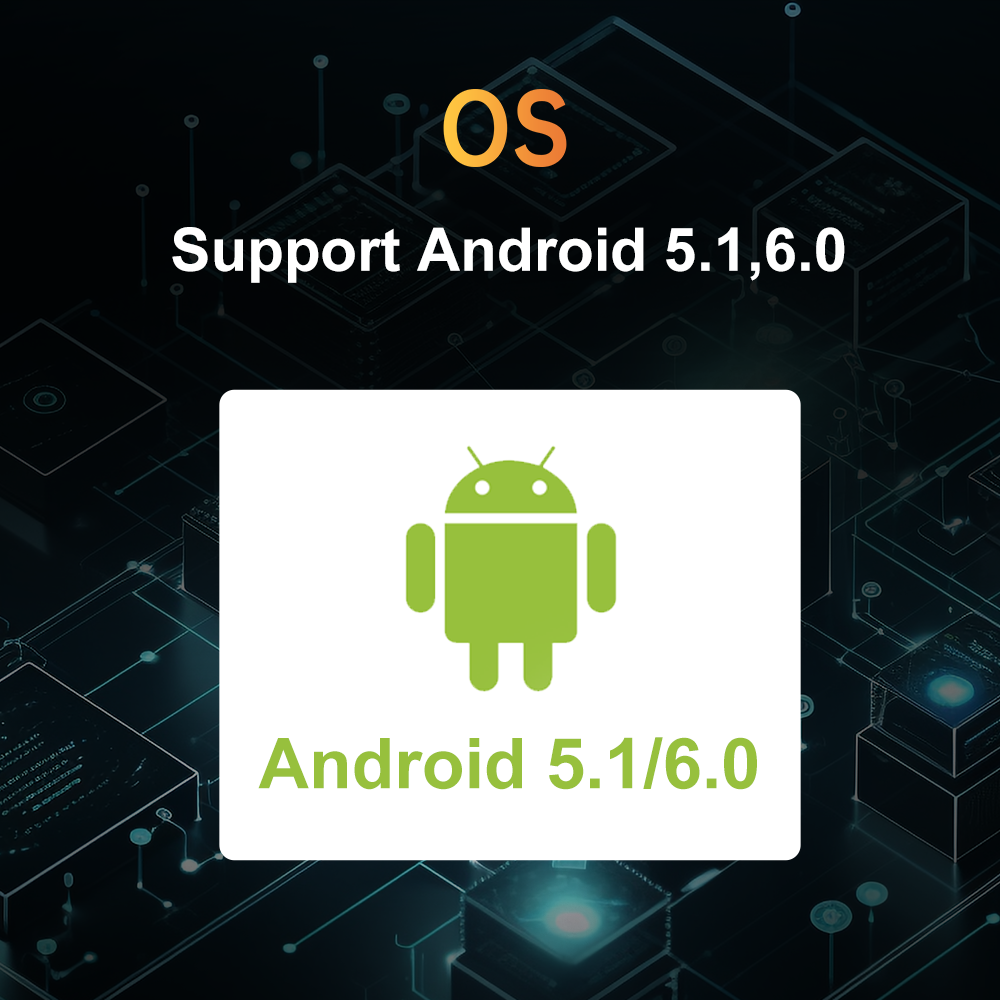 LIONTRON P2 POS Terminal Motherboard