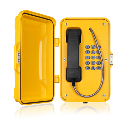 Weatherproof telephone with full keypad and door