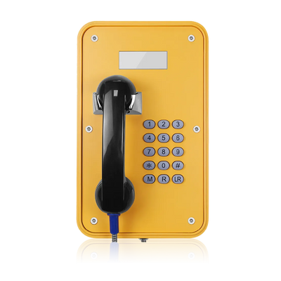 Weatherproof telephone with LCD