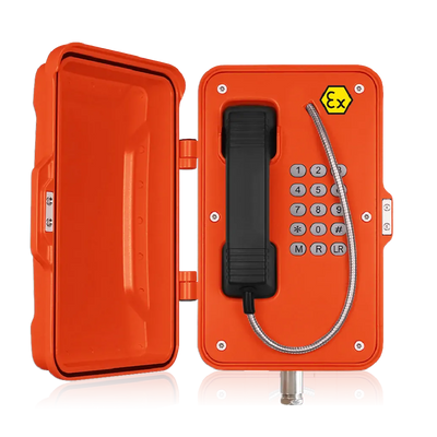 Explosion-proof telephone with door and keypad