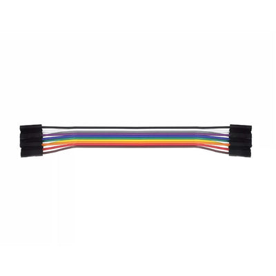 30 cm 10-Pin Female-to-Female Dupont Jumper Cable