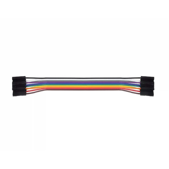30 cm 10-Pin Female-to-Female Dupont Jumper Cable