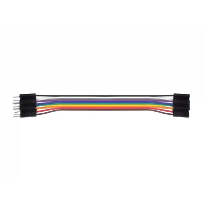 30 cm 10-Pin Male-to-Female Dupont Jumper Cable