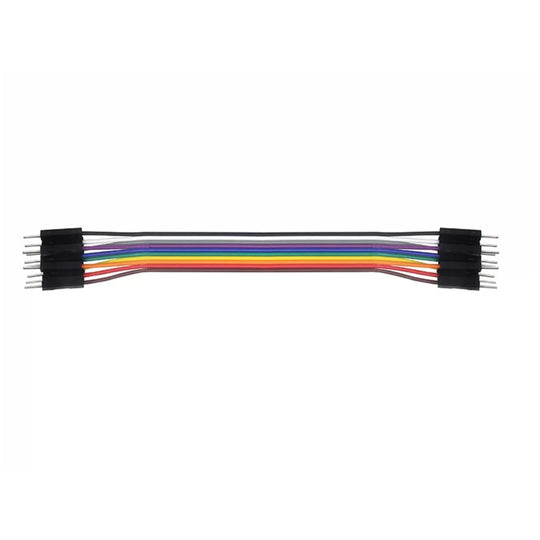 30 cm 10-Pin Male-to-Male Dupont Jumper Cable